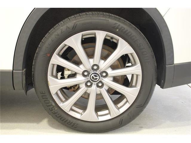 123aae2438edef1cd40163ae86033583.jpg