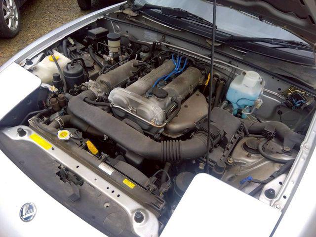 95f9ec83c54ef56ce8b6905abfa753f7.jpg