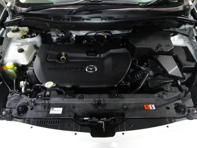 0803407A30261024W00119.jpg