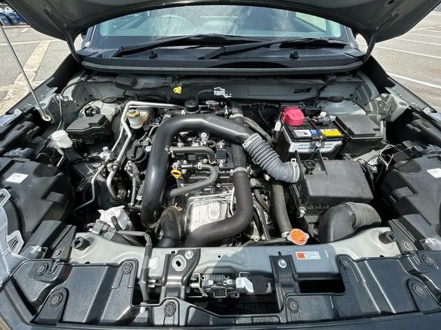 1166145A30260730W00410.jpg
