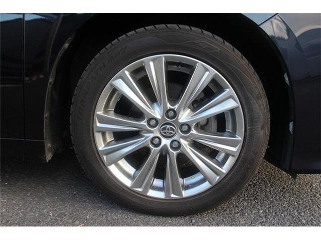 2002e966954e641f73d058f204b110e8.jpg