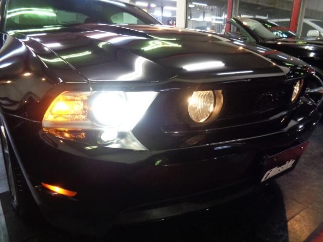 0700895A30261025W00105.jpg