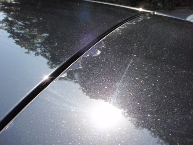 d8bb6e3181e2edfd335e9b1857459044.jpg