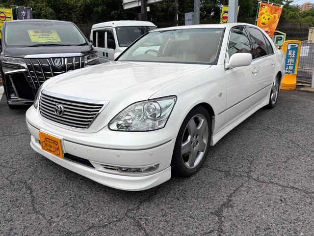 1001587A30260609W00101.jpg