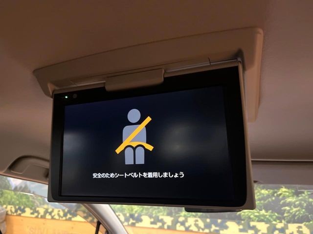 abd09639936023979025355276374c6d.jpg