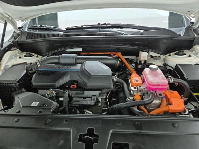 6041000952R5.jpg
