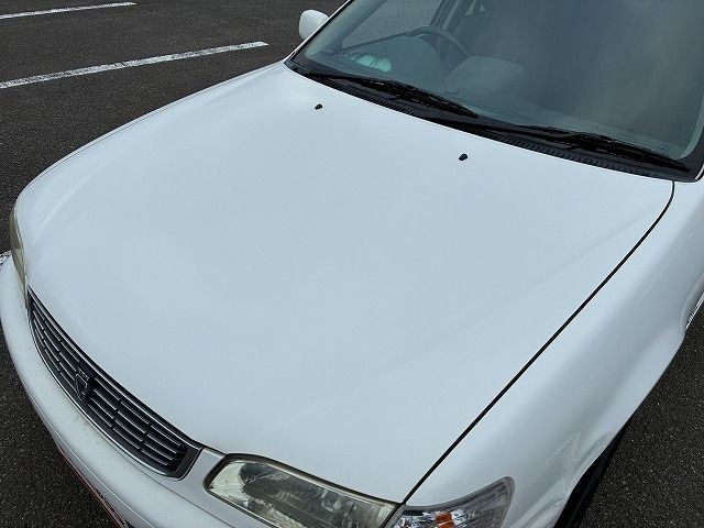 1cb2e9001977dff9dffac86104807c53.jpg