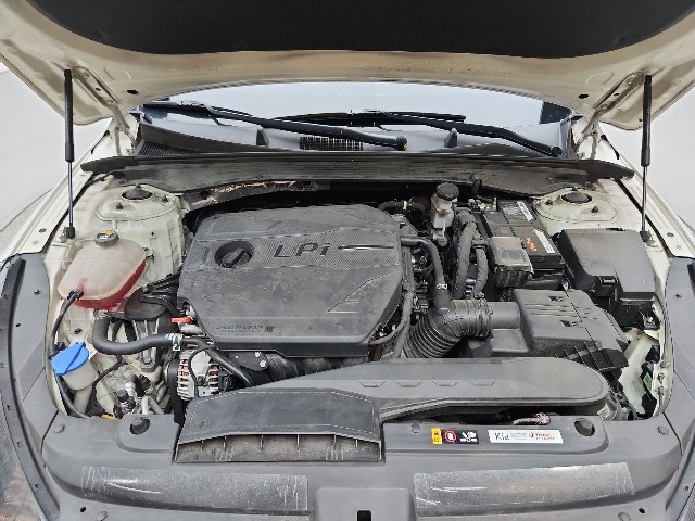 lotterental_145725806_PDwyq_9.jpg