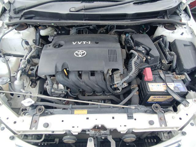 08.jpg
