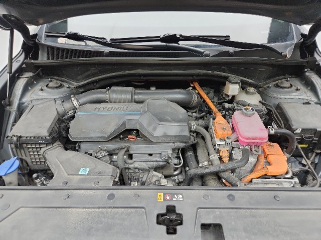lotterental_135929781_yzVda_6.jpg