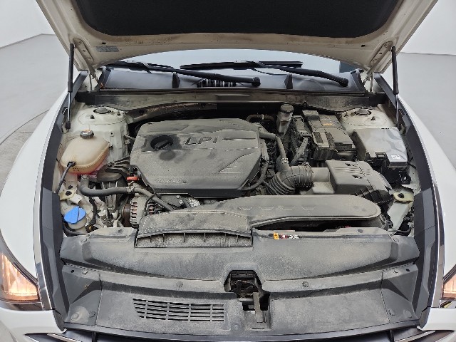 lotterental_204352768_TUoP4_7.jpg