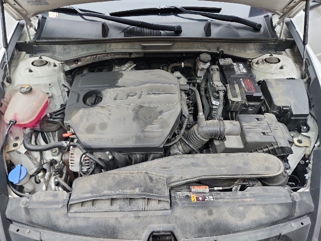 lotterental_13185076_YFmkn_8.jpg
