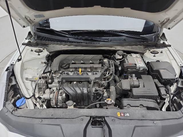 lotterental_203156985_CopXI_6.jpg