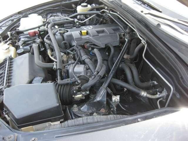 c45e57fc203eff56637d870ae1b2cb95.jpg