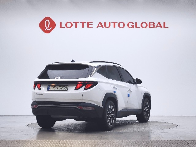 lotterental_144240711_1VPMg_3.jpg