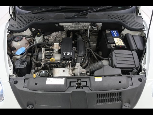 cbce02440fbe66913444759d02f48477.jpg
