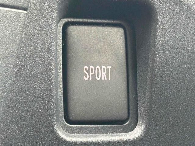 0208859A30261025W00305.jpg