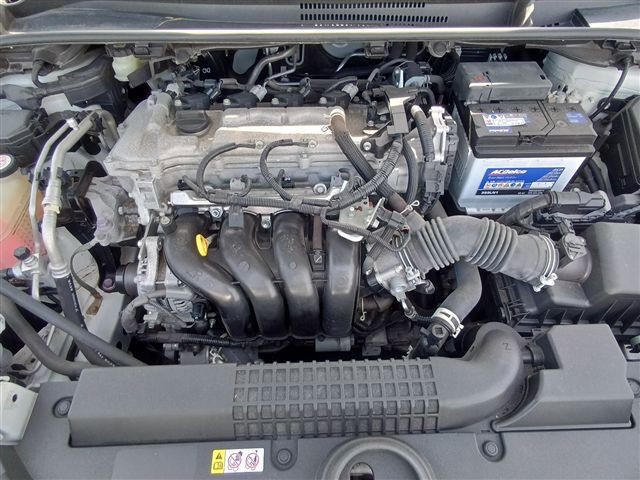 08.jpg