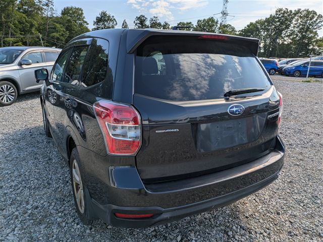 05.jpg