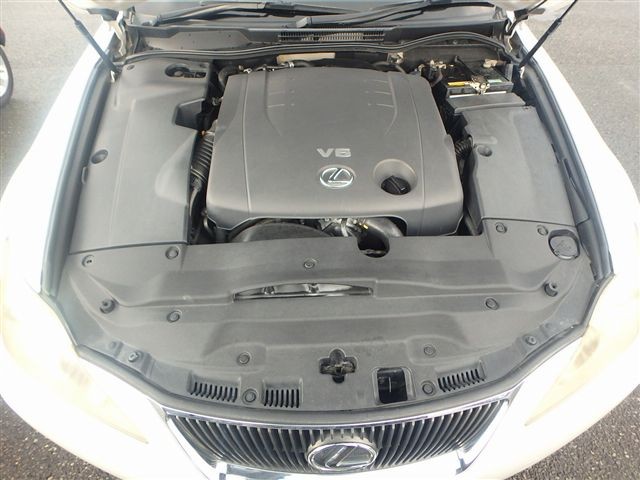 08.jpg