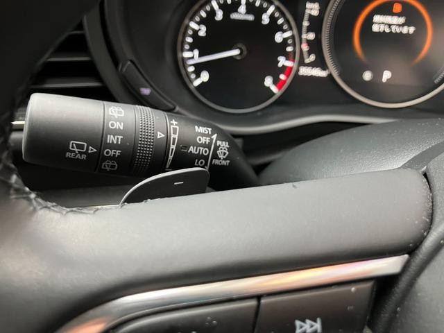 1000234A30260925W00316.jpg