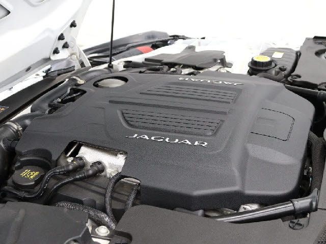 982f703599117247710e47617eccbcaf.jpg