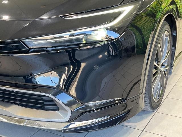 26989212_carP_l_6.jpg