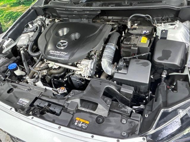 5fc50d1b125c73d00265655ea330c366.jpg