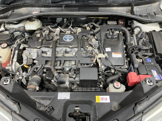 a981fc647ab7e009e8fca9dbd32731b2.jpg
