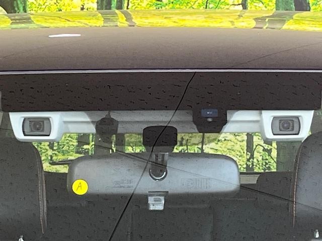 27032227_carP_l_10.jpg
