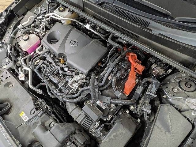 40f7e60bd2e8ec00881614a969979d91.jpg