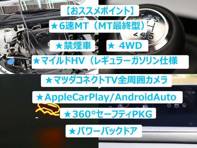 384ecde38982313dc308aecdbd62b003.jpg