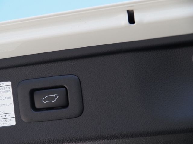 f164d81ed193bdc49c5a81b9f9c3305b.jpg
