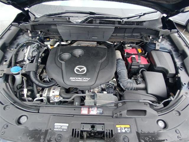 08.jpg