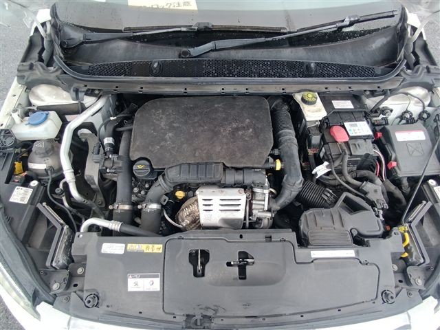 08.jpg