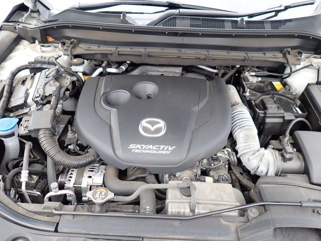 bb60e0178b4e3a1d36b3b330c6e5e61b.jpg