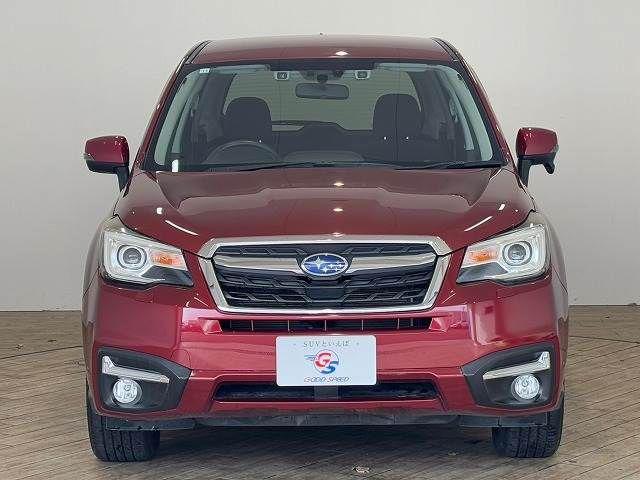 b205596cea54d71c9cdf824ed15dc4e5.jpg
