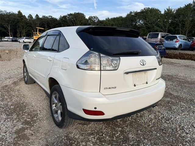 05.jpg