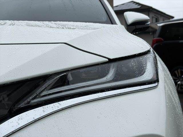 7e2077a4c7e113d2f589381995b5aa78.jpg