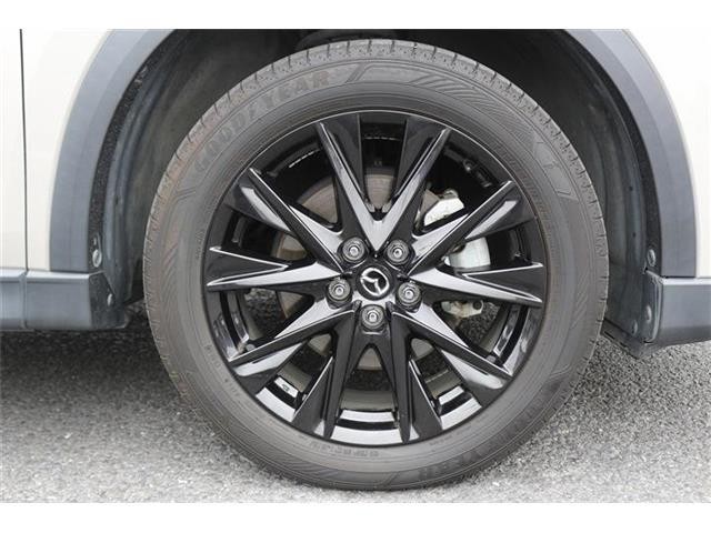 10666144eb760c12aede92fbf32715ae.jpg