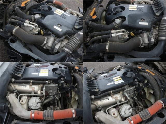 e18e42584d1eb335599d402fc607dc03.jpg