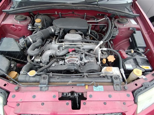 08.jpg