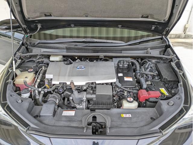 76f5ed1c5b04553b217b4565b4dfaf54.jpg