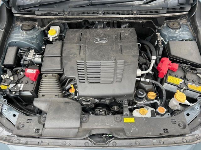 abd016c496432616f3ae17797cc8f742.jpg