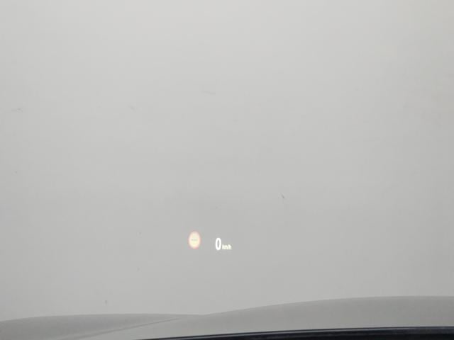 05335e47f79047351fd6294144fa0181.jpeg