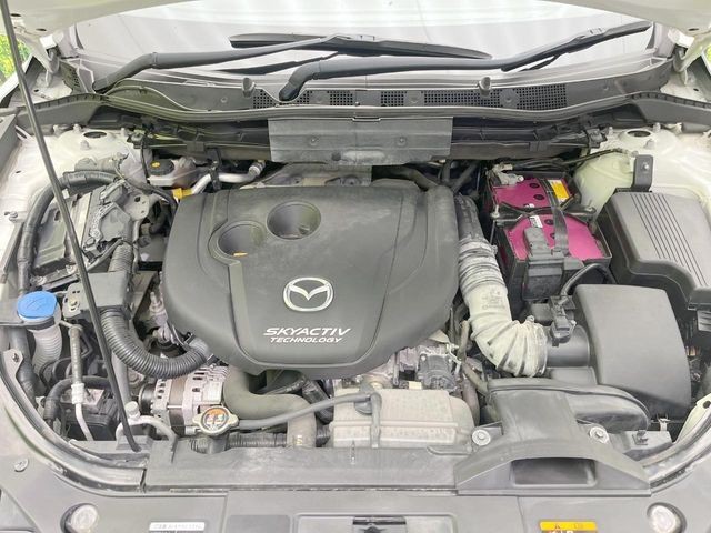 a18e9f9cc7414c45b26f661b6aef0ed2.jpg