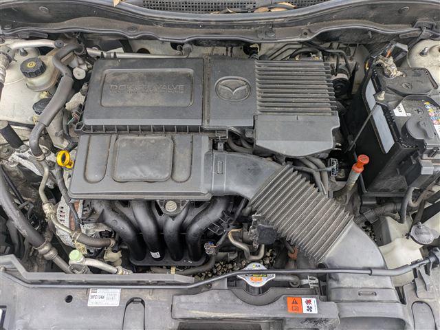 08.jpg