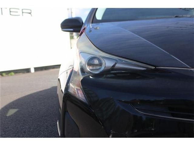3f350df9dbfbe7e8cebe28cafab7f59e.jpg