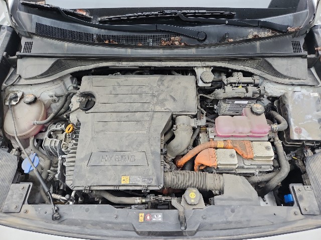 lotterental_105715545_U5zDx_10.jpg