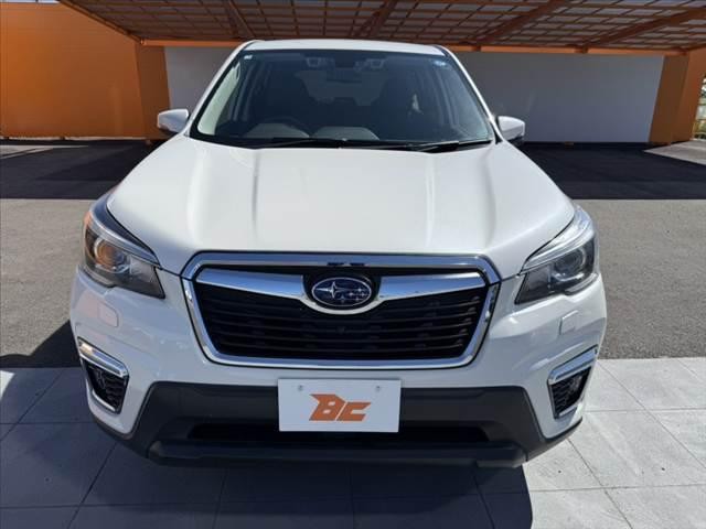158f327e391a47e8b455451c3fca8b37.jpg